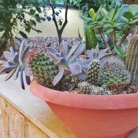 Giardino Di Persefone Αγκριτζέντο